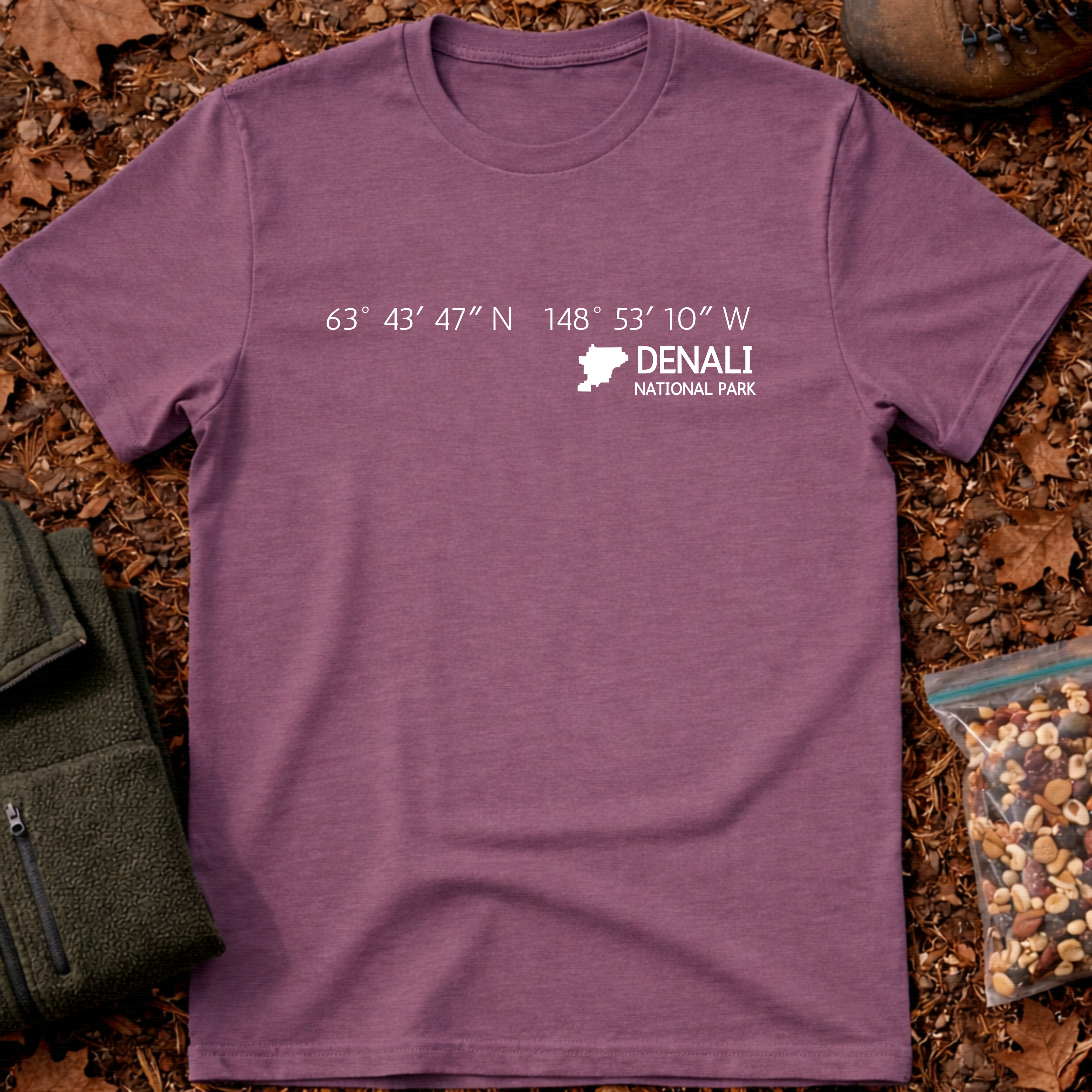 Denali National Park DMS T-Shirt