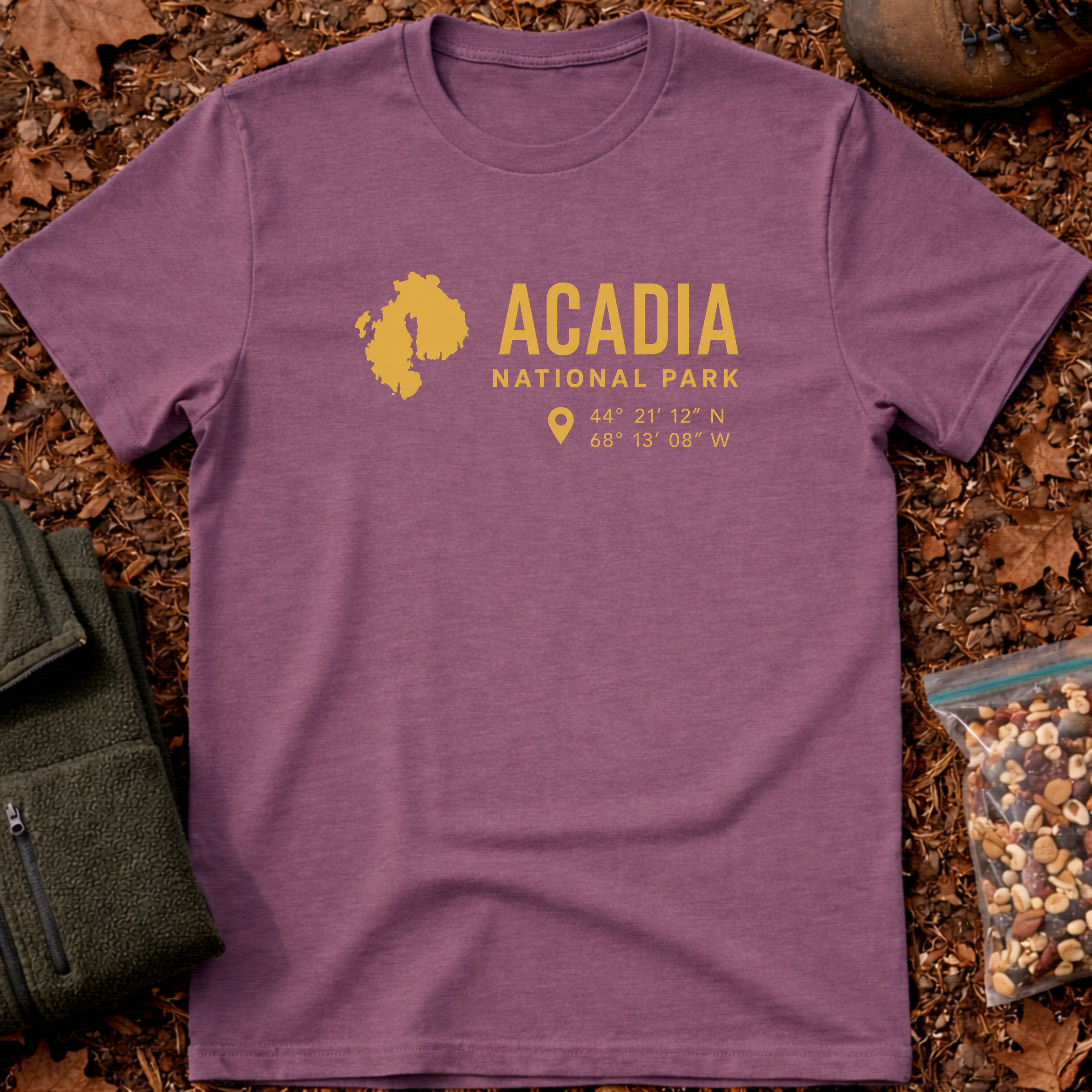 Acadia National Park DMS 2 T-Shirt